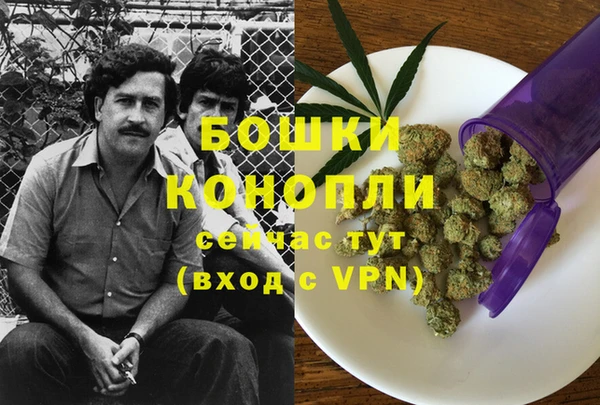 прущие крисы Сосновый Бор