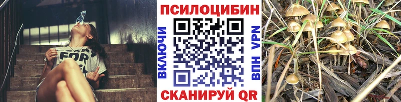 Галлюциногенные грибы Psilocybine cubensis  kraken tor  Белозерск 